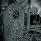 Affectionate Remembrance